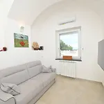 Maison Aragonese